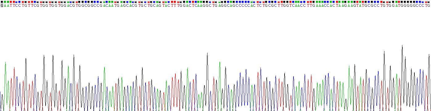 Recombinant Protein Disulfide Isomerase (PDI)