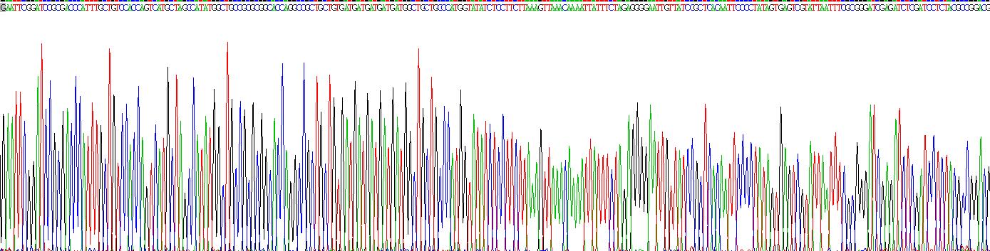 Recombinant Granulysin (GNLY)