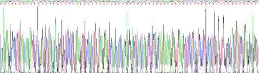 Recombinant Z-DNA Binding Protein 1 (ZBP1)