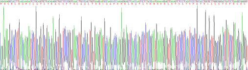 Recombinant Z-DNA Binding Protein 1 (ZBP1)