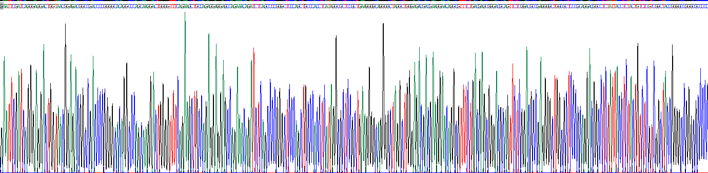 Recombinant Lymphotoxin Beta (LTb)
