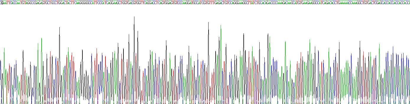 Recombinant Thymus Activation Regulated Chemokine (TARC)