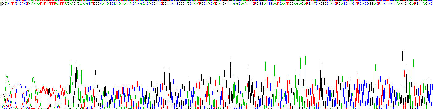 Recombinant Lymphocyte Function Associated Antigen 1 Alpha (CD11a)