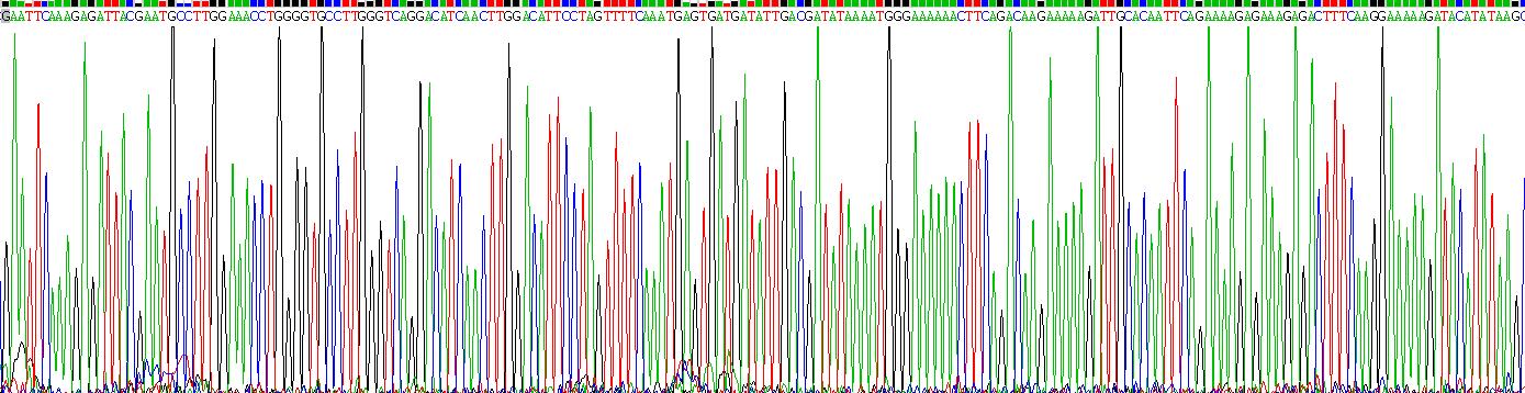 Recombinant Cluster Of Differentiation 2 (CD2)