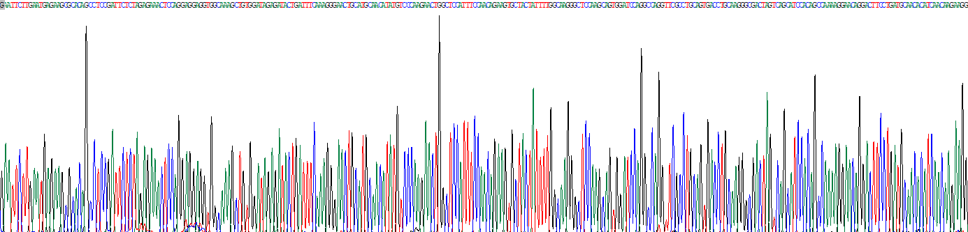 Recombinant Cluster Of Differentiation 23 (CD23)