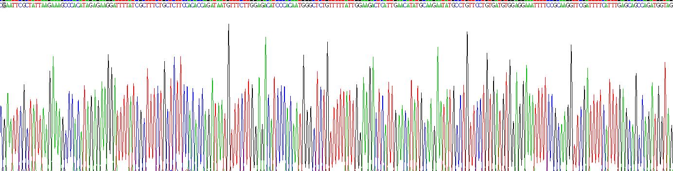 Recombinant Caspase 1 (CASP1)