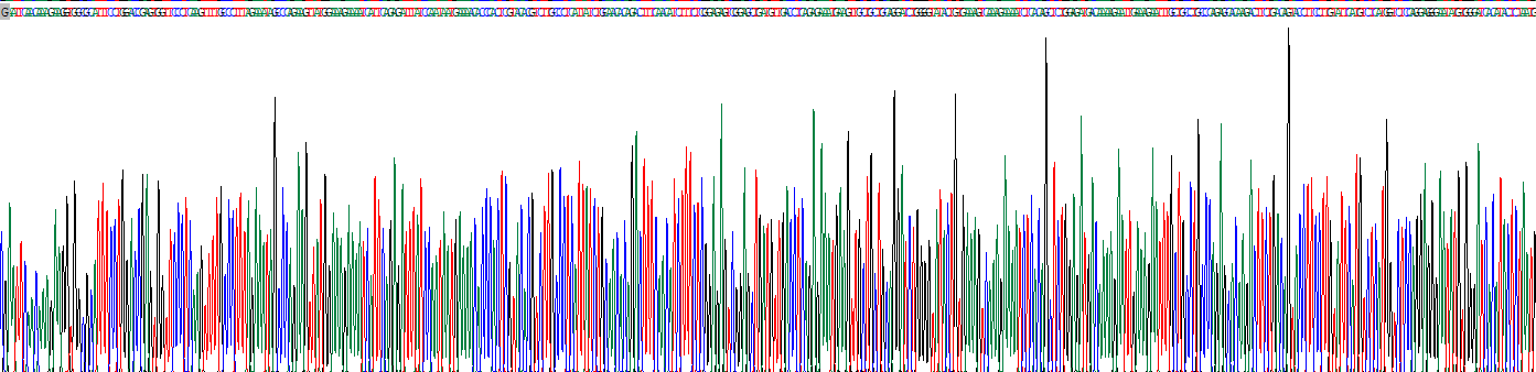 Recombinant Caspase 1 (CASP1)