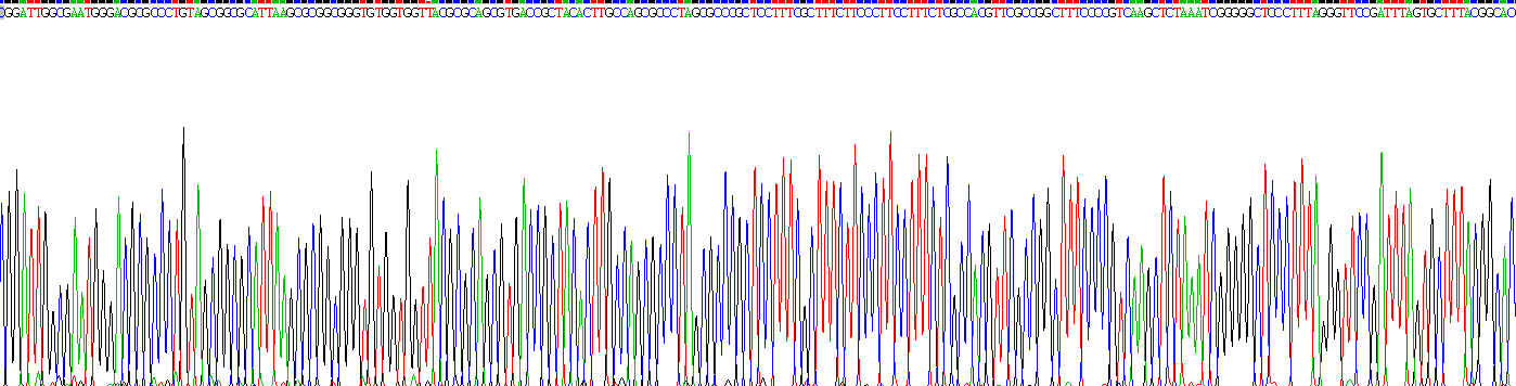 Recombinant Chemokine (C-X-C Motif) Ligand 2 (CXCL2)