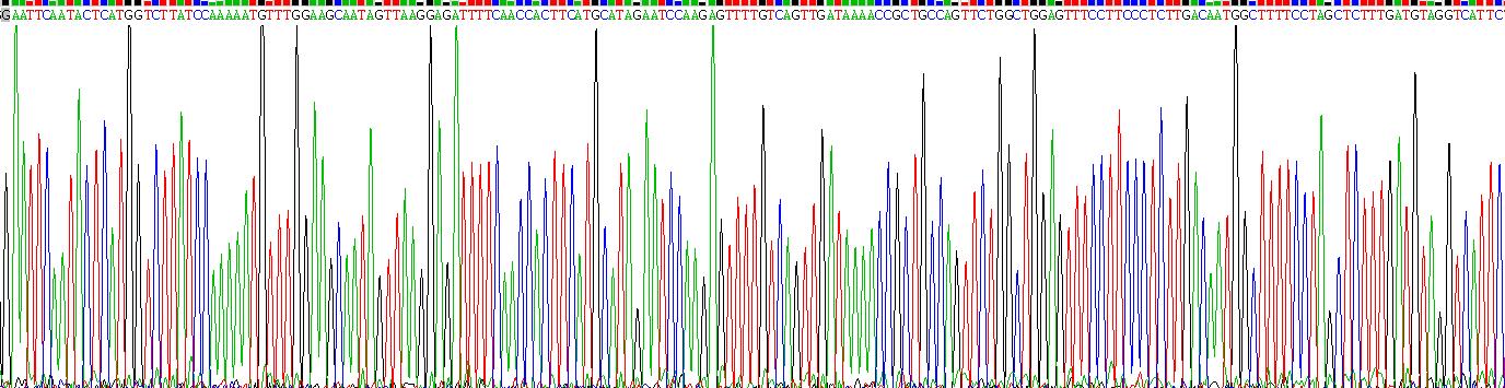 Recombinant Glucocorticoid Receptor (GR)