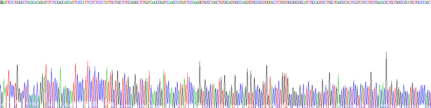 Recombinant Surfactant Protein B (SP-B)