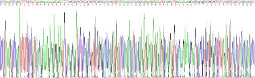 Recombinant Glucose Transporter 3 (GLUT3)