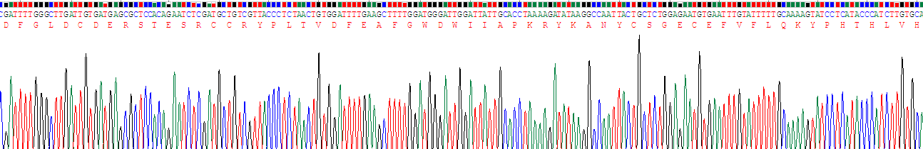 Recombinant Myostatin (MSTN)