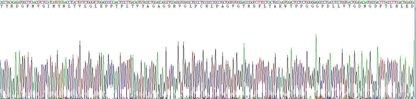 Recombinant Lymphocyte Activation Gene 3 (LAG3)