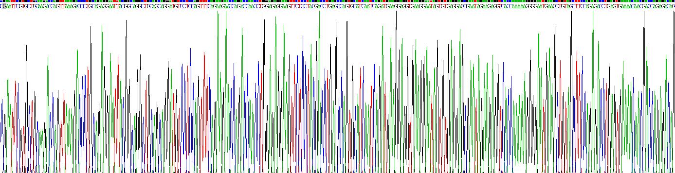 Recombinant Golgi Phosphoprotein 2 (GOLPH2)