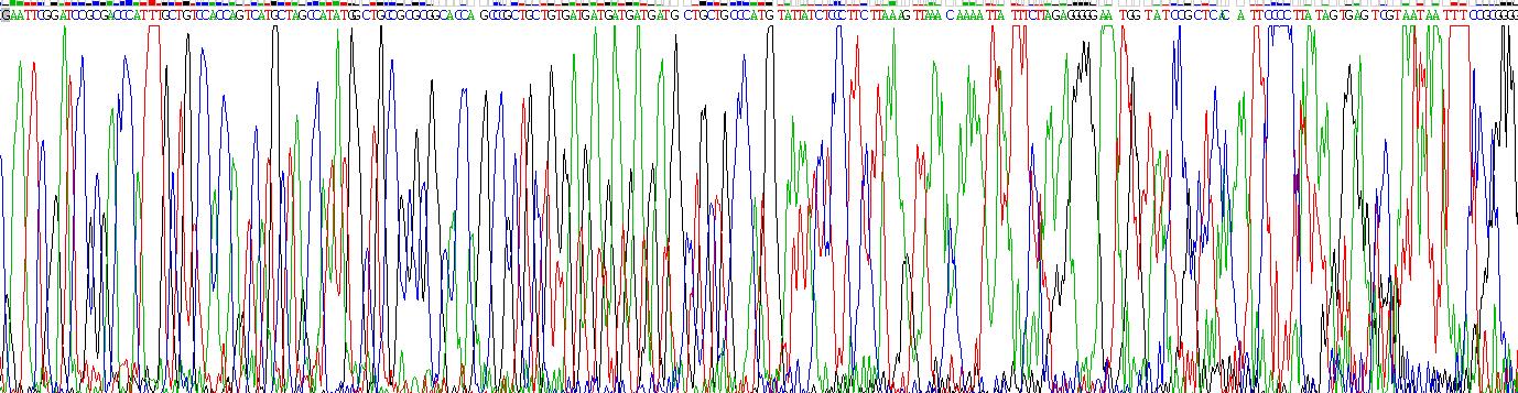 Recombinant Golgi Phosphoprotein 2 (GOLPH2)