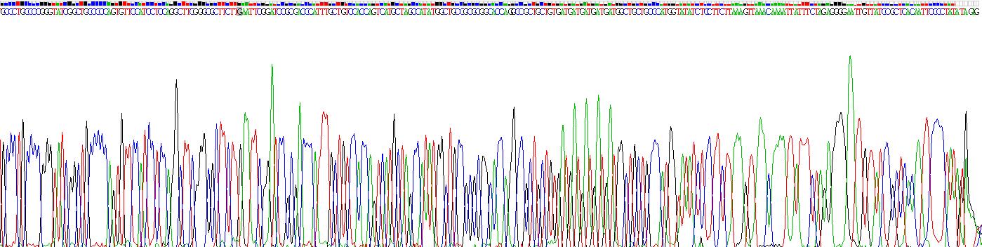 Recombinant Prion Protein (PRNP)