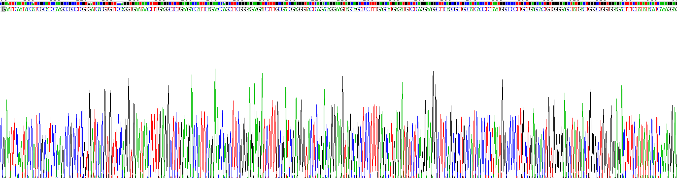 Recombinant Integrin Alpha M (CD11b)