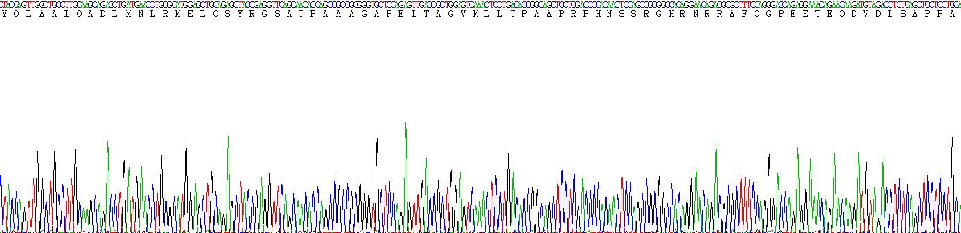 Recombinant B-Cell Activating Factor (BAFF)