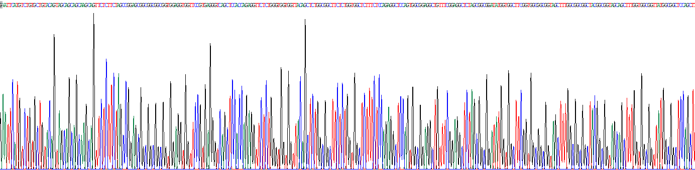 Recombinant Cytokeratin 10 (CK10)