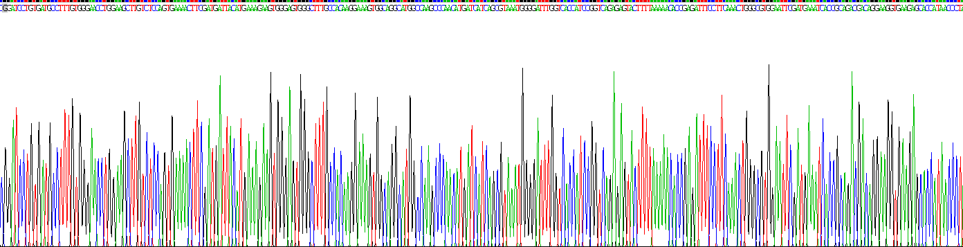 Recombinant Fatty Acid Binding Protein 4 (FABP4)