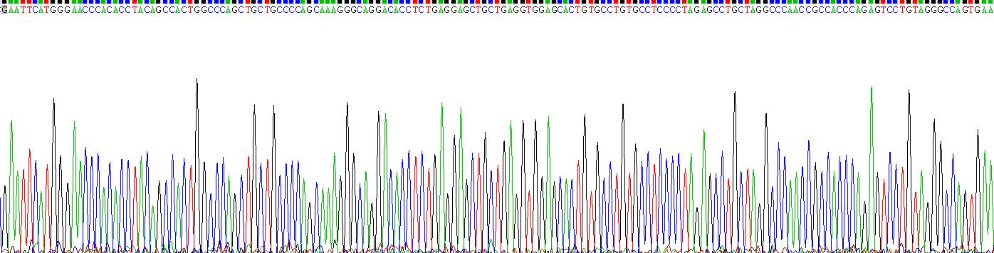 Recombinant Interleukin 25 (IL25)