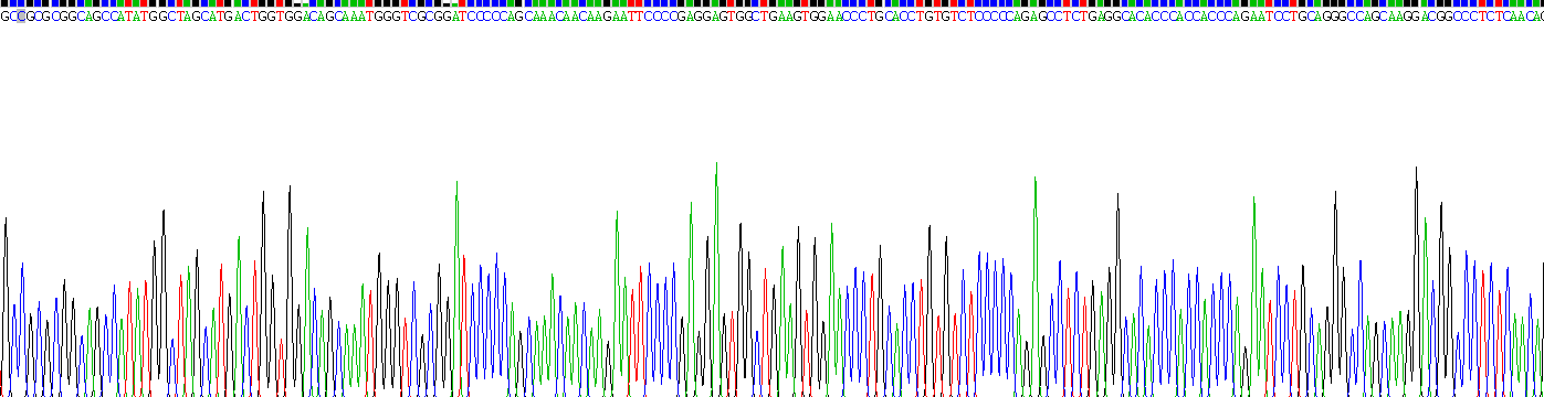 Recombinant Interleukin 25 (IL25)