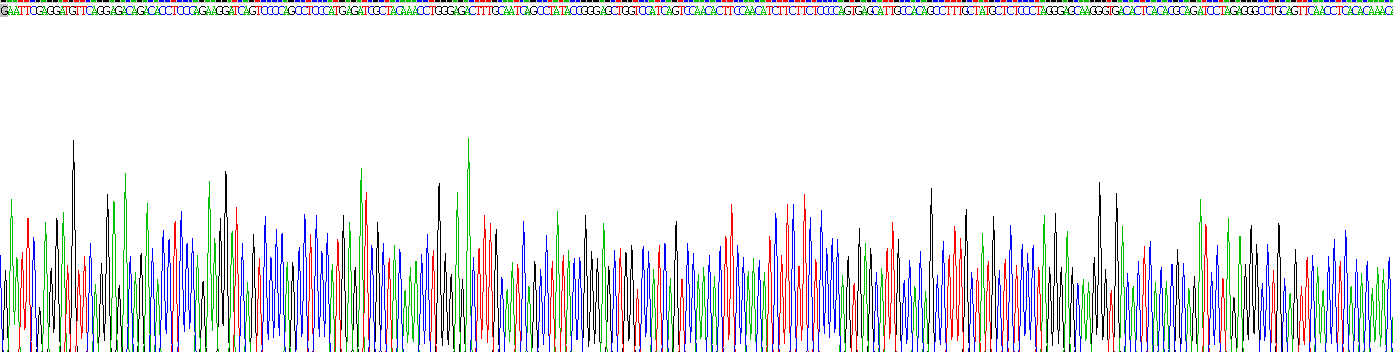 Recombinant Alpha-1-Antitrypsin (a1AT)