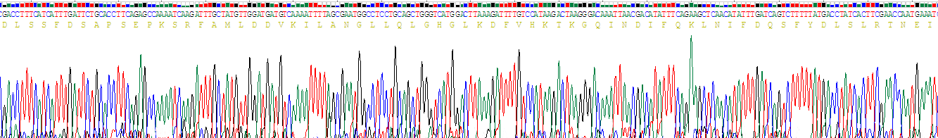 Recombinant Angiopoietin Like Protein 3 (ANGPTL3)