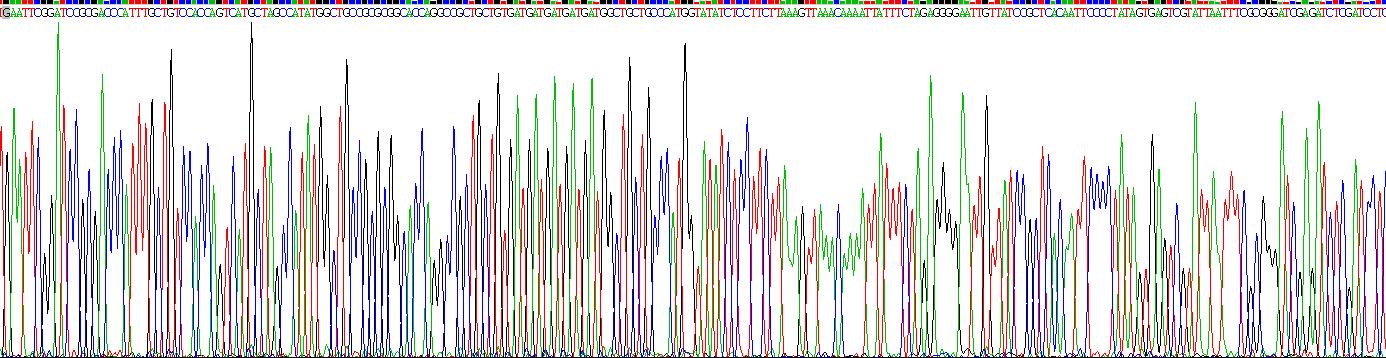 Recombinant B And T-Lymphocyte Attenuator (BTLA)