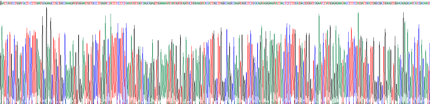 Recombinant Hydroxymethylglutaryl Coenzyme A Synthase (HMGCS)