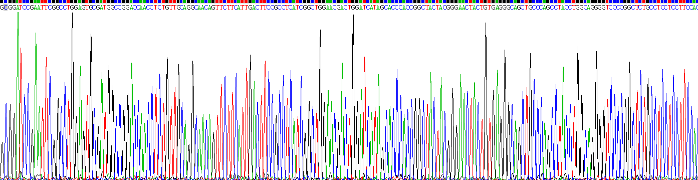 Recombinant Inhibin Beta B (INHbB)