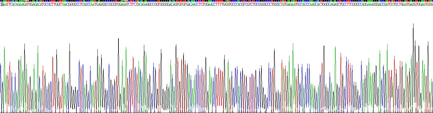 Recombinant Lectin Galactoside Binding, Soluble 3 Binding Protein (LGALS3BP)