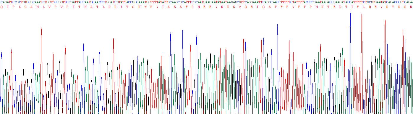 Recombinant Orosomucoid 2 (ORM2)