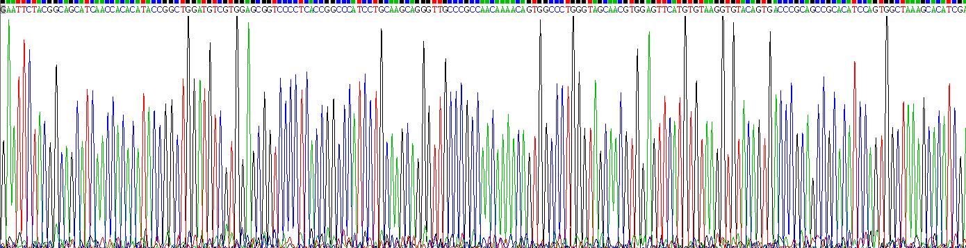 Recombinant Fibroblast Growth Factor Receptor 1 (FGFR1)