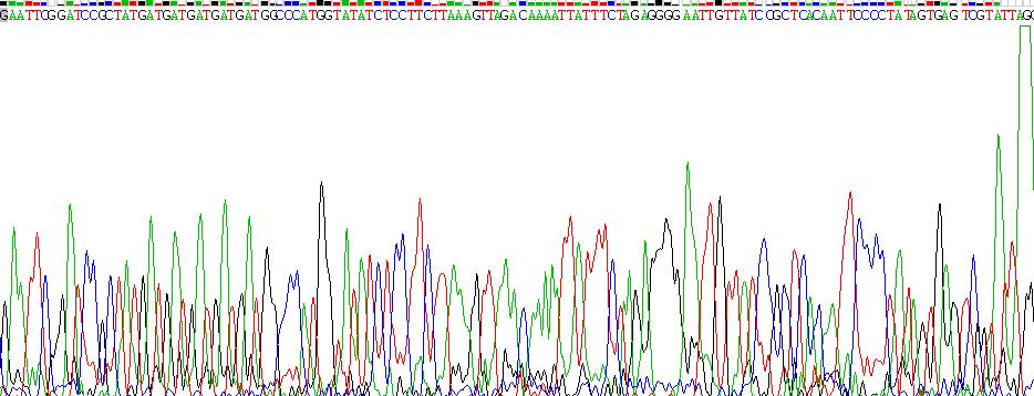 Recombinant Jagged 1 (JAG1)