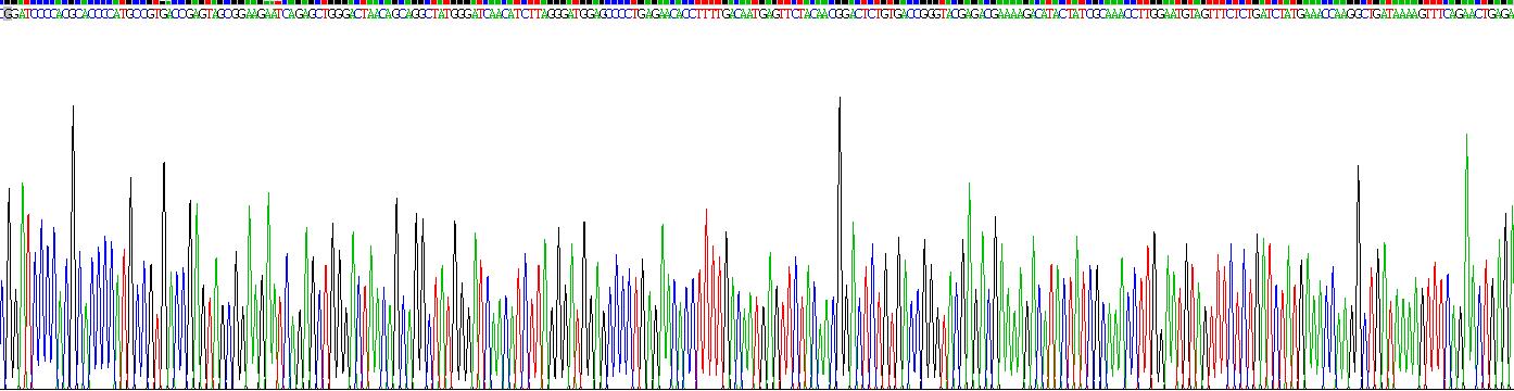 Recombinant Complement Component 9 (C9)