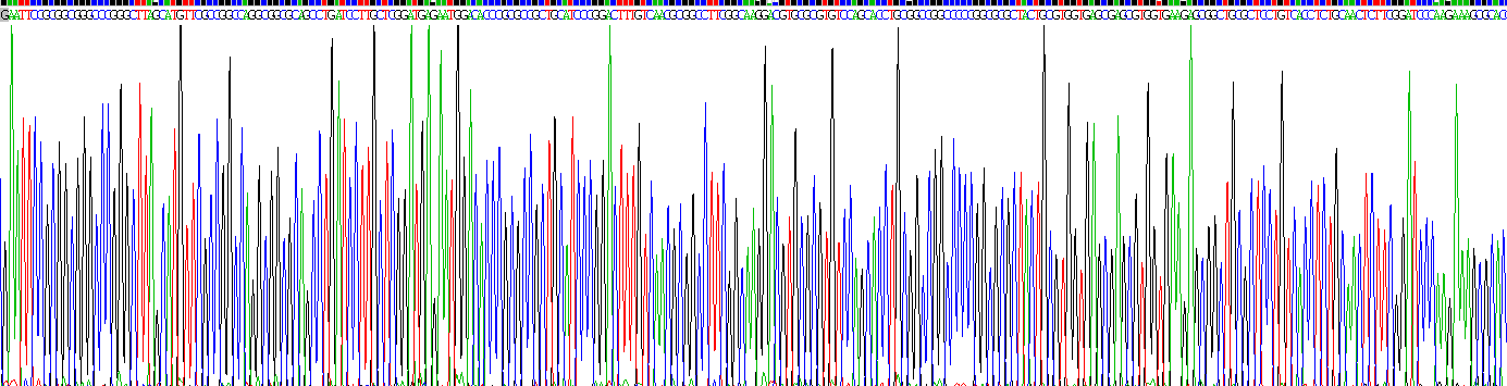 Recombinant Netrin 1 (Ntn1)