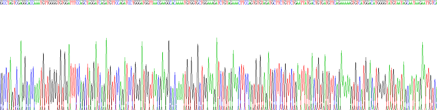 Recombinant A Disintegrin And Metalloprotease 9 (ADAM9)