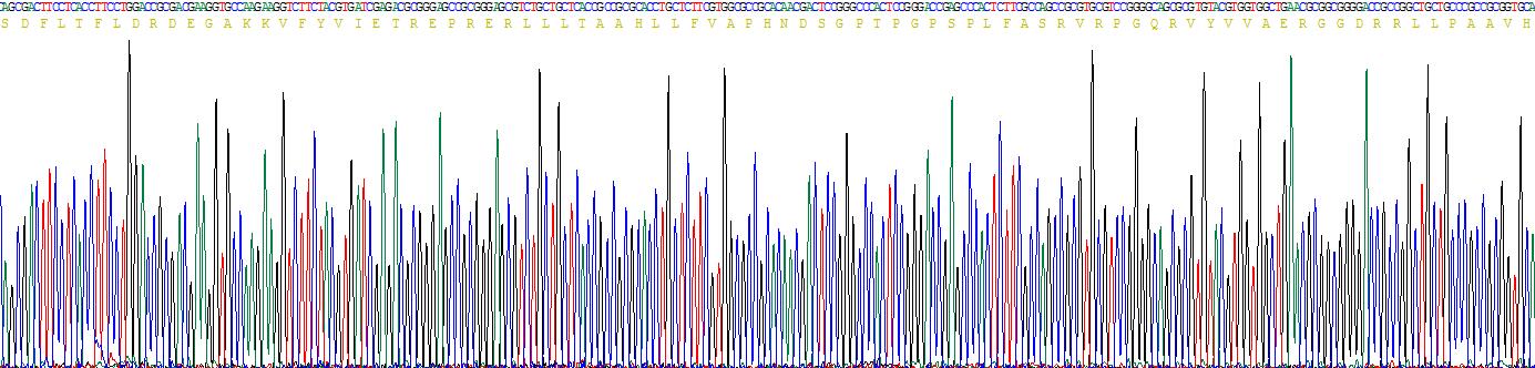 Recombinant Hedgehog Homolog, Sonic (SHH)