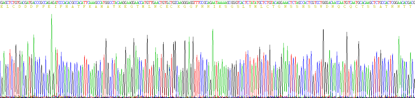 Recombinant Interleukin 2 Receptor Alpha (IL2Ra)