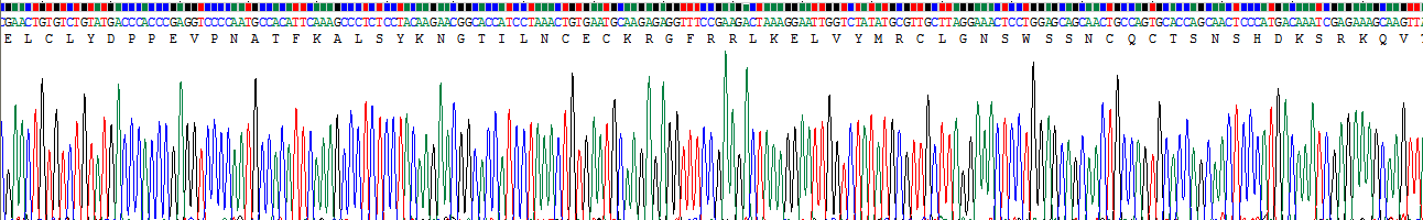 Recombinant Interleukin 2 Receptor Alpha (IL2Ra)