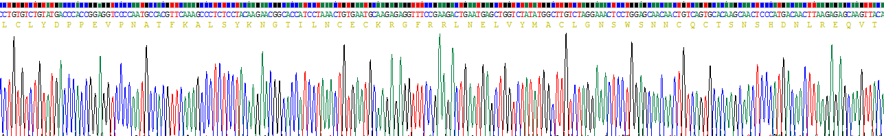 Recombinant Interleukin 2 Receptor Alpha (IL2Ra)