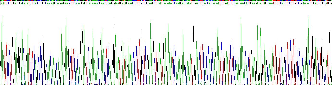 Recombinant Lectin Like Oxidized Low Density Lipoprotein Receptor 1 (LOX1)