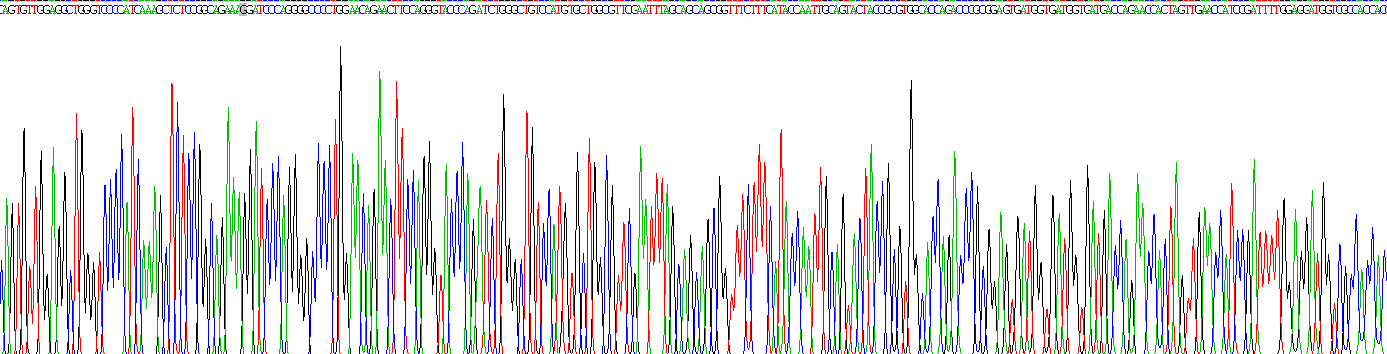 Recombinant Receptor Tyrosine Protein Kinase erbB-2 (ErbB2)