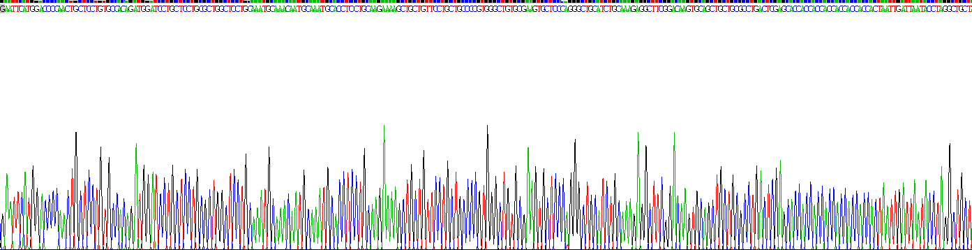 Recombinant Metallothionein 2 (MT2)