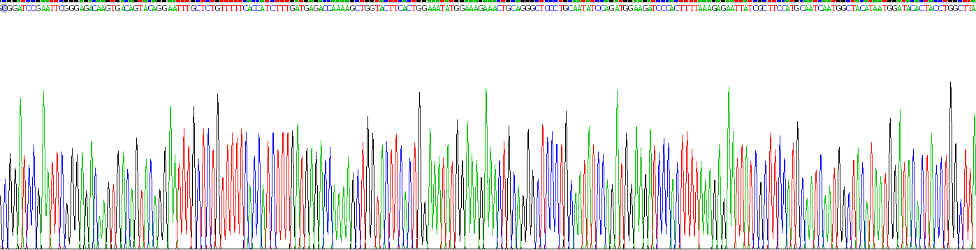 Recombinant Coagulation Factor VIII (F8)