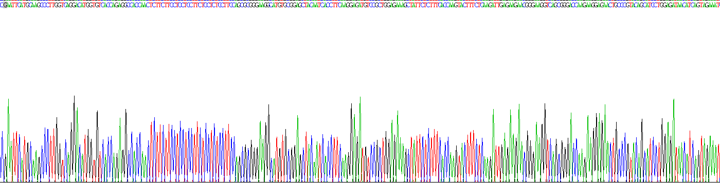 Recombinant Fibroblast Growth Factor 10 (FGF10)