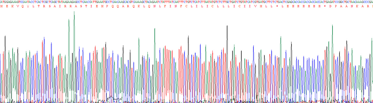 Recombinant Phospholamban (PLN)