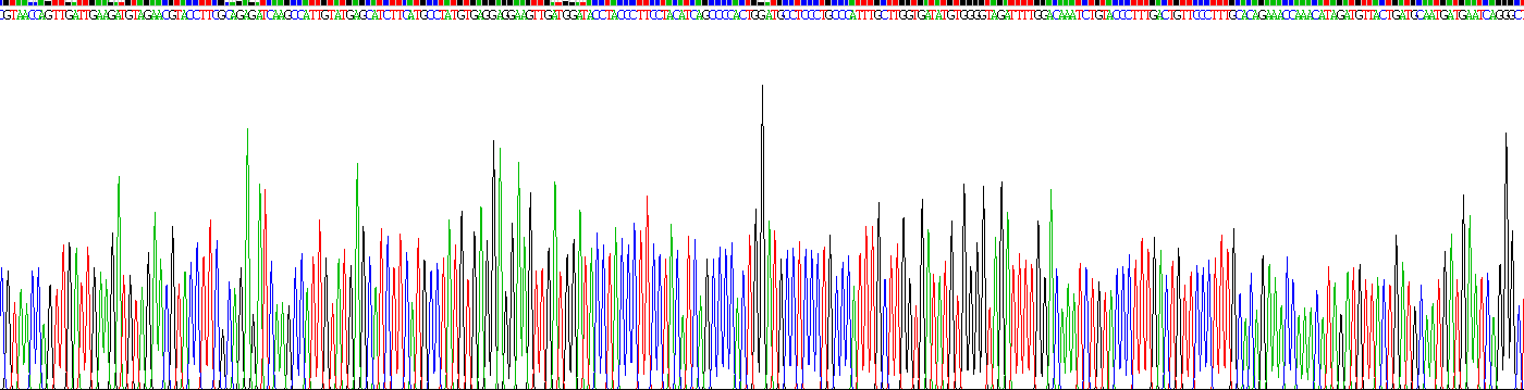 Recombinant Angiotensin I Converting Enzyme 2 (ACE2)