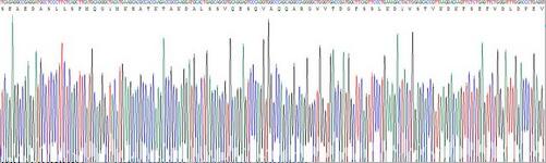 Recombinant Apolipoprotein C3 (APOC3)